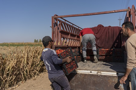 الوحدة التاسعة: نظم توزيع المواد الأغذية والعمل مع تجار الجملة والتجزئة